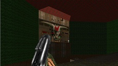 Brutal Doom