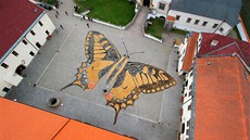 Sypaný motýl z písku na nádvoří pardubického zámku