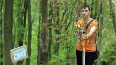 Luká� Novotný z Vojkovic nad Ottovou kolonádou dva kysibelské buky. Dostaly