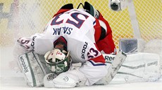 POJEDE DO SOI? Mladý gólman Petr Mrázek z Detroitu první vychytanou nulou v NHL zvýil svoje ance na olympiádu.