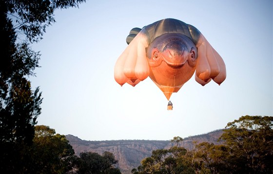 Horkovzduný balon od umlkyn Patricie Piccinniniové, který si Canberra
