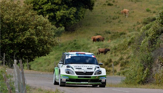 Jan Kopecký z továrního týmu koda bhem Rally Korsika.