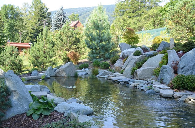 Kamenem oblo�en� jez�rko zpo��tku p�ipom�nalo kamenolom, postupn� ale mezi...