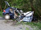 Tragická nehoda u Velkých Pavlovic, pi které zahynuli dva mladí mui. (15.