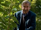 Václav Havel zasadil strom v japonské zahrad v roce 2009.