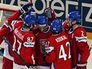JEDEN ZE SEDMI. etí hokejisté se radují z gólu proti Norsku.