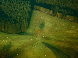 Zelen krajina, to je jedna rostlina vedle druh...