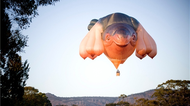 Horkovzdun balon od umlkyn Patricie Piccinniniov, kter si Canberra podila ke svmu stoletmu vro (24. dubna 2013)