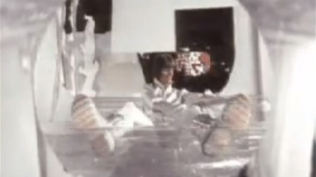 David Bowie na originlnm videoklipu k vlastn psni Space Oddity.