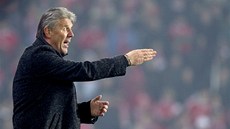 Generální sportovní manaer a trenér sparanských fotbalist Jozef Chovanec pi