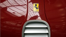 Zap�j�ené vozy Ferrari v pra�ském NTM