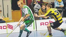 Na h�i�ti Jakub �árka (vlevo) nastupuje v extralize za Bohemians. Letos týmu