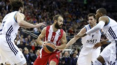 Vassilis Spanulis z Olympiakosu Pireus se probíjí p�esilou Realu Madrid.