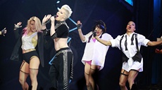 Koncert Pink, O2 arena Praha, 10.5.2013 