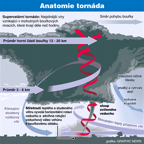 Anatomie tornda