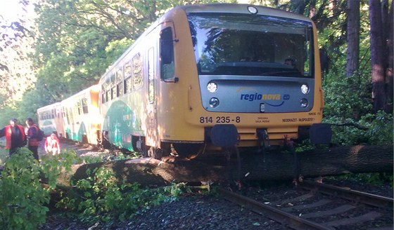Osobní vlak narazil do stromu spadlého na koleje pi noní bouce.