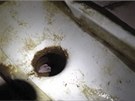 erstv narozené dít nalezli záchranái v odpadní trubce toalety