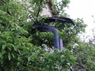 ást auta zstala viset na strom u domu, do kterého naletlo.