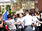 Protest proti Miloi Zemanovi ped nejvyím soudem v Brn (21. kvtna 2013)