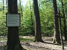 Svatojiský les na Nymbursku dostal jméno po dávném klátee svatého Jií, ve...