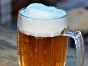 V nkterch pivech se naly kodliv mykotoxiny. Ilustran foto.