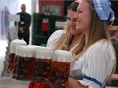 eský pivní festival
