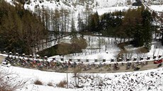 Cyklistický peloton v 15. etap Gira d´Italia
