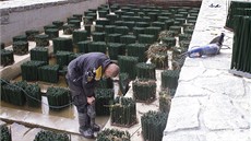 Kartá�e zpomalí vodu a jez tak bude bezpe�n�j�í.