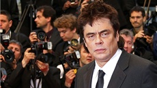 Benicio Del Toro