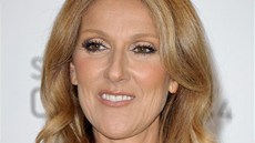 Céline Dion na udílení Billboard Music Awards (19. kvtna 2013)