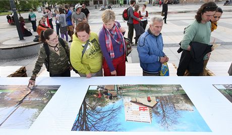 Na ticetimetrovém stolu z palet jsou na festivalu Mezidomí vystaveny