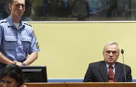 Jovica Stanii ped soudem v Haagu (30. kvtna 2013)