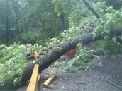 Bouřka zlomila strom u letohrádku Kinských, který zničil nové zábradlí.