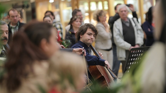 Flash mob brnnsk filharmonie v prodejn galerii Vakovka (30. kvtna 2013)