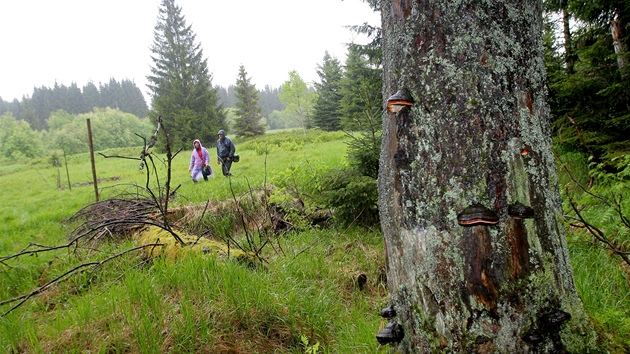 Na vpravy s prvodci vyrej skupiny osmi a jedencti lid. Nkter vlety jsou na nkolik hodin, jin na cel den.