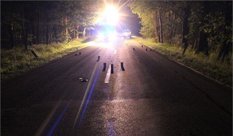 enu na Liberecku v noci na nedli srazilo auto, alkohol za nehodu nemohl (ilustraní snímek)