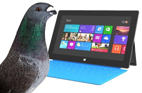 S dotykovým displejem si holubi poradí, nauit je ovládat Windows 8 by ale asi