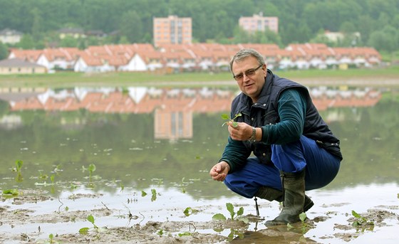 Eduard Šebenda, který má v Zemědělském podniku Malše na starosti zelný provoz,