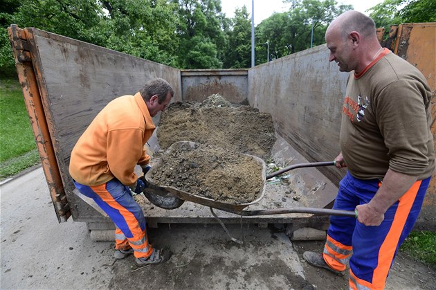 Úklidová eta ve tvrtek v parku Folimanka istila hit zanesené