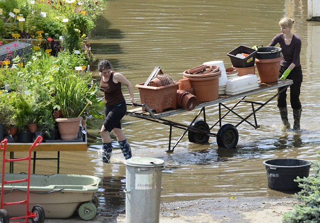 V zahradnictví v praském Braníku zaali s odstraováním kod po povodních.