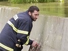 Hasi sleduje petékající hladinu vody u protipovodové hráze v Hoín na