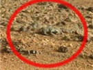 Jetrka na Marsu, jak ji na snímcích z NASA objevil japonský blogger.