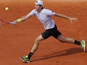 Nmeck tenista Tommy Haas zasahuje mek ve tvrtfinle Roland Garros.