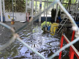 Pokozen spodn st prask zoologick zahrady