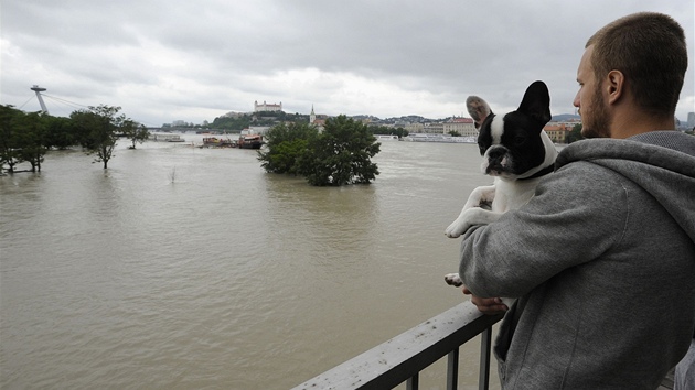 Rozvodnn Dunaj v Bratislav (6. ervna 2013)