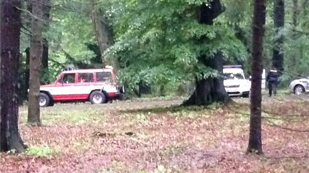 Tlo eny, zavalen dubem v prhonickm parku,  vyprostili hasii (3. ervna 2013)
