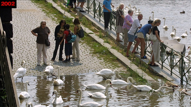 Náplavka na pražské Výtoni