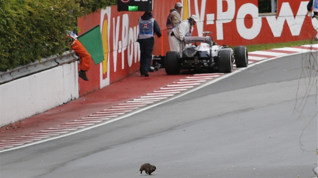 BOURAL DO ZDI. Pastor Maldonado u svho znienho monopostu Williams pi trninku Velk ceny Kanady F1.