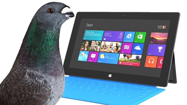 S dotykovým displejem si holubi poradí, nauit je ovládat Windows 8 by ale asi