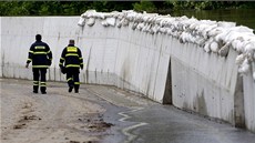 Hasii jdou kolem petékající protipovodové hráze v Hoín na Mlnicku. (4.